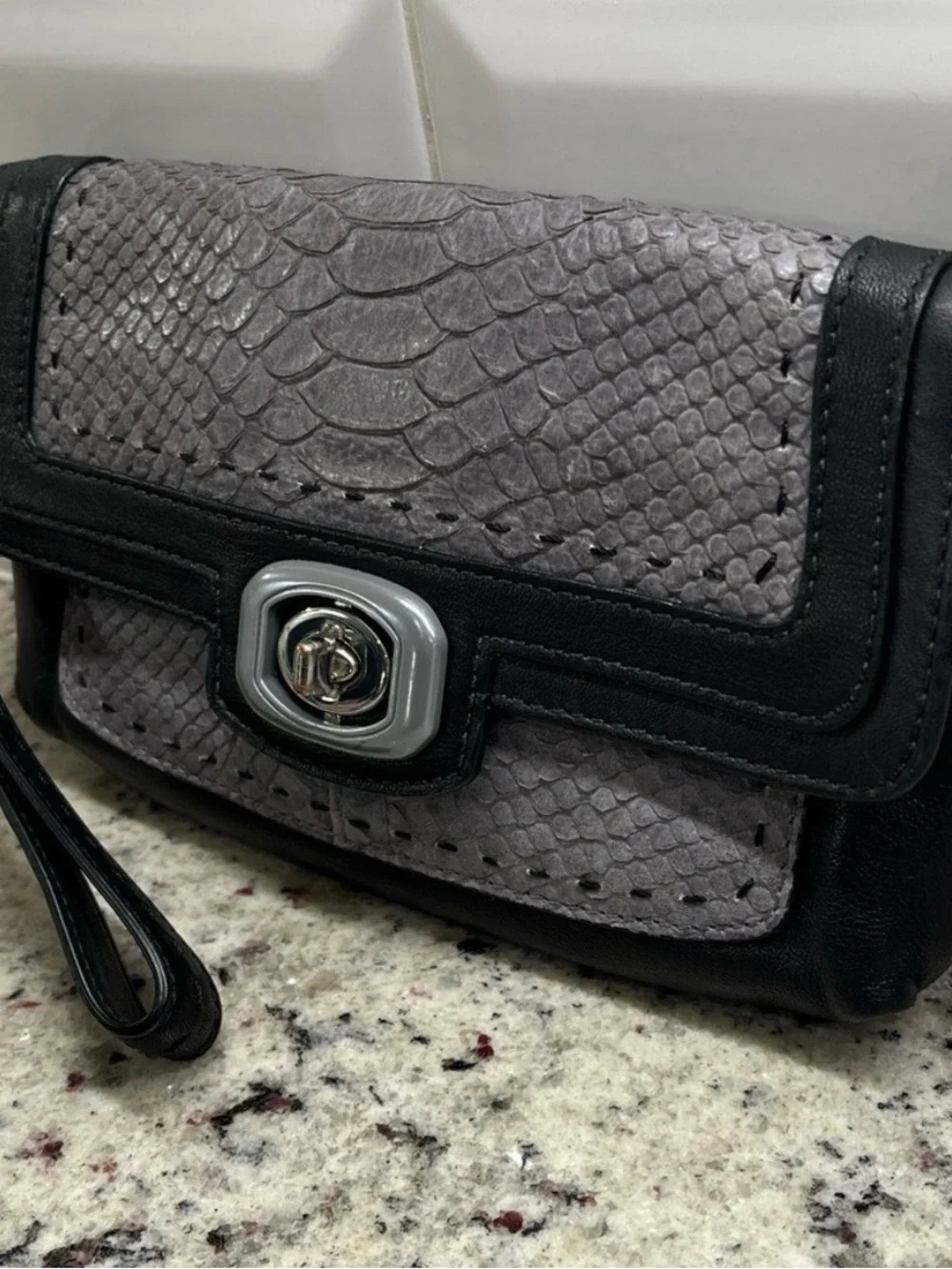 Coach Pinnacle Embossed Python Exotic Color Block Clutch/Wristlet EUC